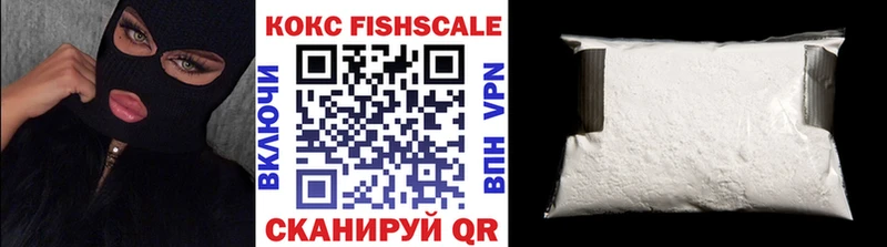Cocaine FishScale  купить наркотик  Алейск 