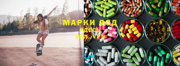 ECSTASY Яровое