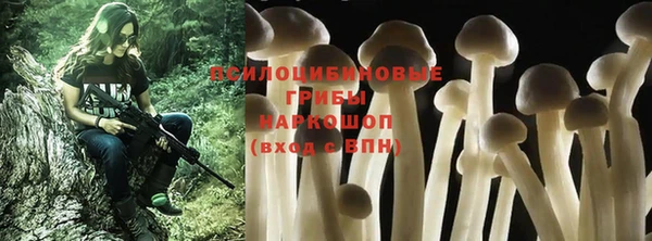 наркотики Абаза