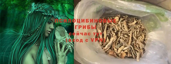 стаф Алзамай
