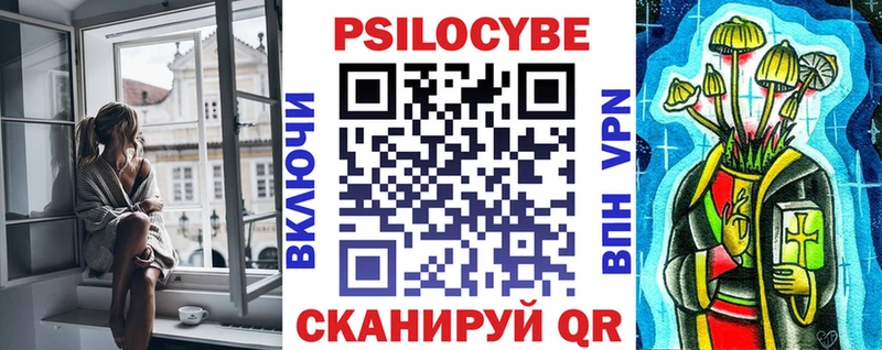 omg ССЫЛКА  цена   Алейск  Псилоцибиновые грибы Magic Shrooms 